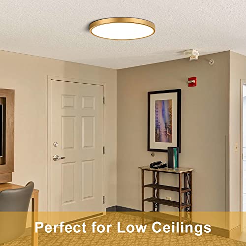 LEDLightsWorld 9 Inch Gold LED Flush Mount Ceiling Light, 5000K Daylight White Low Profile LED Ceiling Light, 18W 1800LM, Round Slim Flat Ceiling Lights Fixture for Closets Bedroom Hallway Stairwells Porch - Image 2