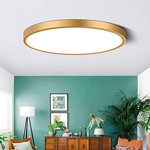 LEDLightsWorld 9 Inch Gold LED Flush Mount Ceiling Light, 5000K Daylight White Low Profile LED Ceiling Light, 18W 1800LM, Round Slim Flat Ceiling Lights Fixture for Closets Bedroom Hallway Stairwells Porch - Image 1