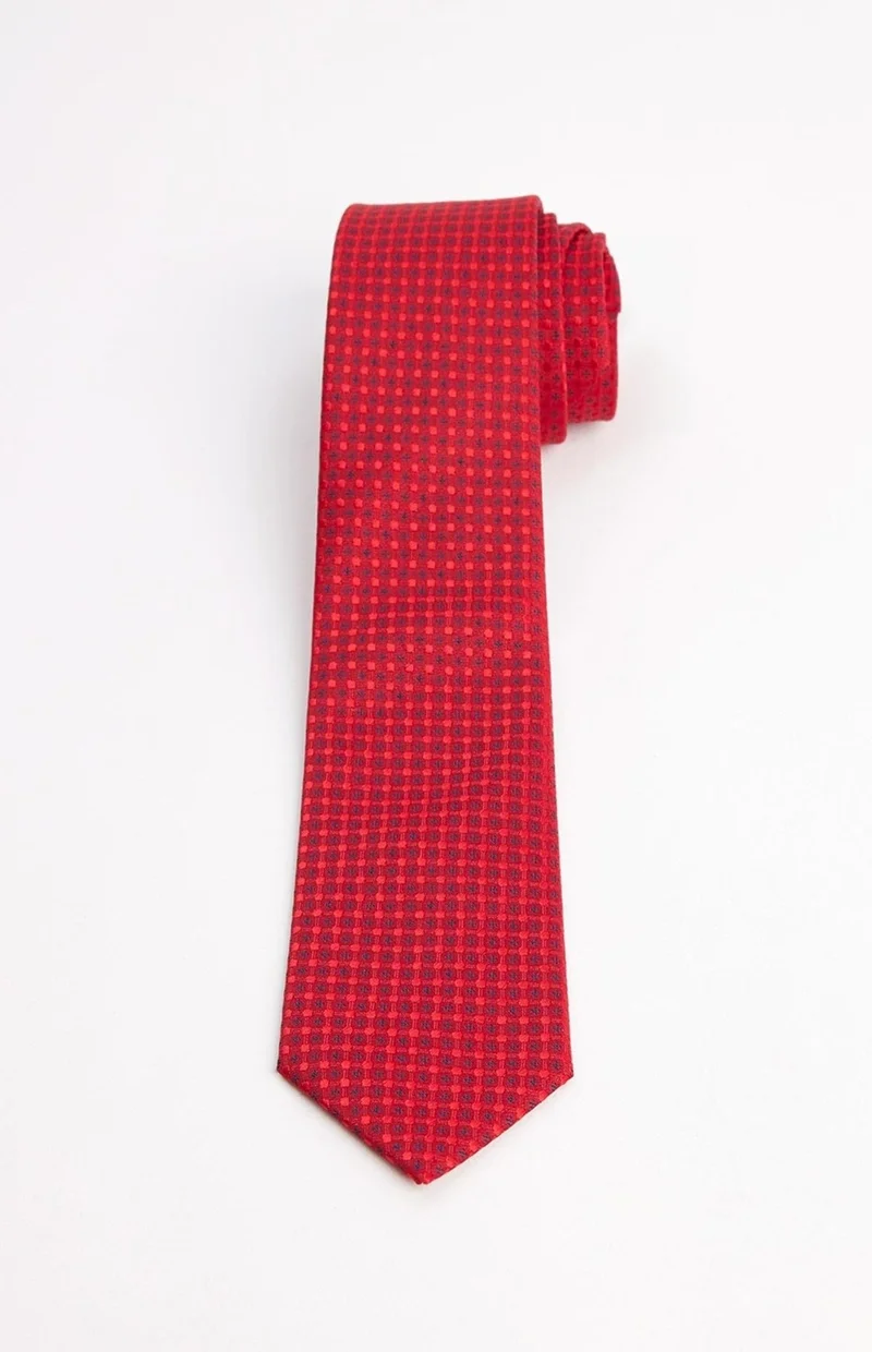 تودورس Classic Pocket Handkerchief Patterned Tie