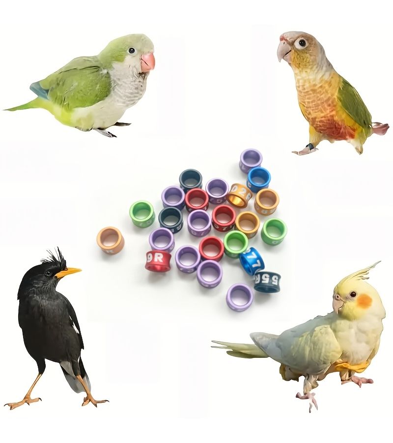 18 Pcs 4.7mm Open Circular Ring Aluminum Alloy Bird Leg Bands Multicolor Identification Foot Markers for Pigeons Parakeets Finches Cockatiels Lightweight Training - Image 5