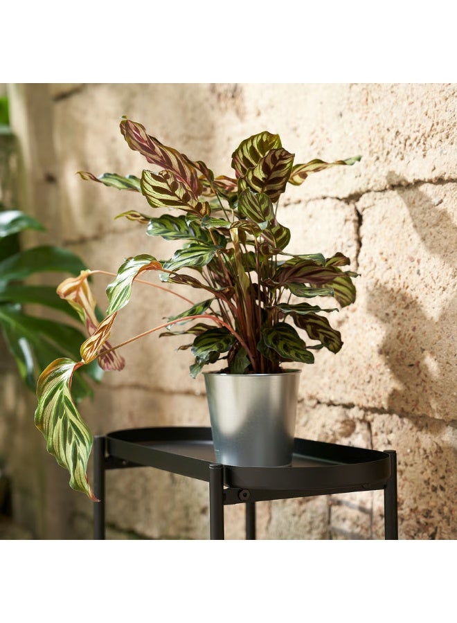 Galvanized Plant Pot – Indoor & Outdoor Decorative Metal Flower Pot, Durable Rust-Resistant, 12 cm Diameter - Image 3