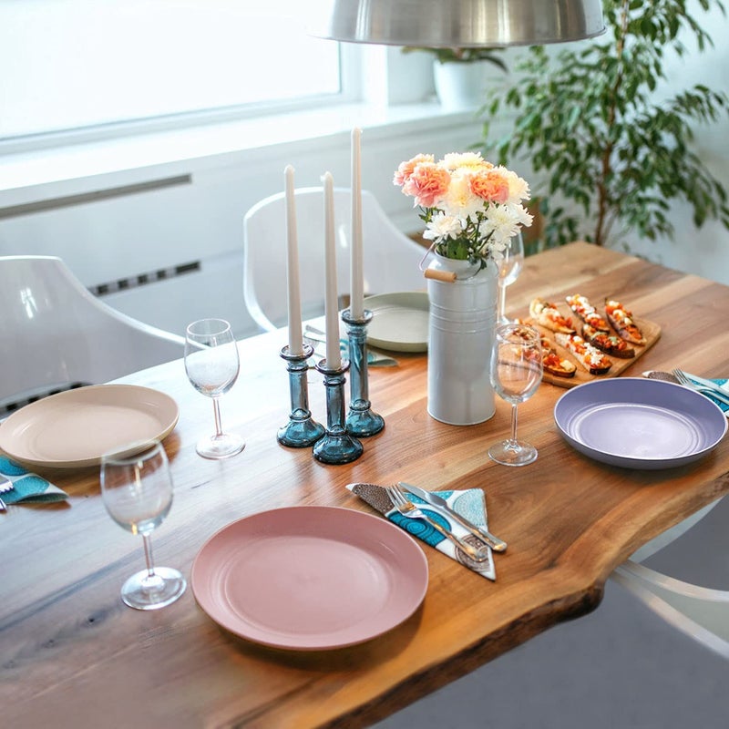 DLEST Wheat Straw Snack Plates Set EcoFriendly Lightweight Unbreakable Plates Microwave Safe Plates for Dinner Hot Cold Serving Dinner Plates 12 25CM - Image 5