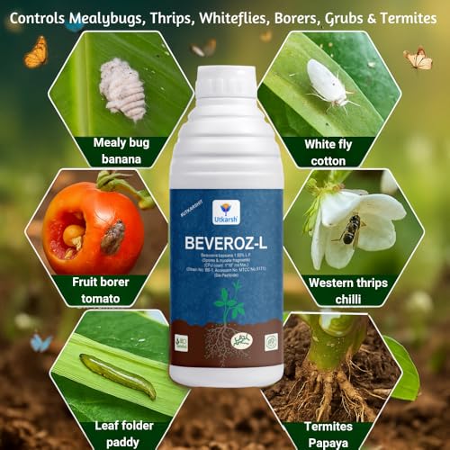 Utkarsh Beauveria Bassiana 1 x 10^8 CFU/ml min. | Western Flower Thrips, Liquid Fungicides for Plants, Home Garden | Beveroz-L (250 ml; Pack of 1) - Image 3