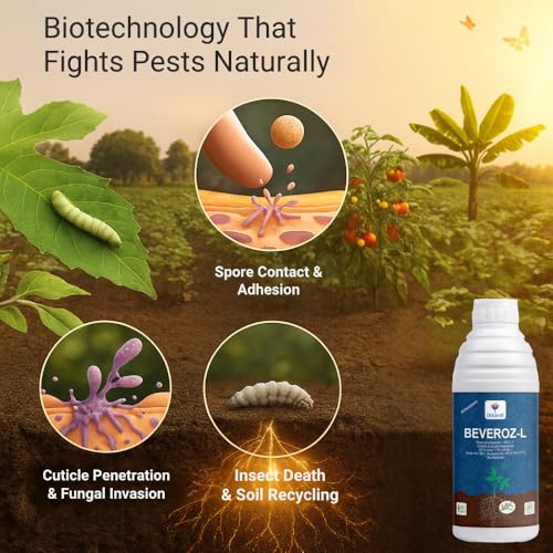 Utkarsh Beauveria Bassiana 1 x 10^8 CFU/ml min. | Western Flower Thrips, Liquid Fungicides for Plants, Home Garden | Beveroz-L (250 ml; Pack of 1) - Image 2