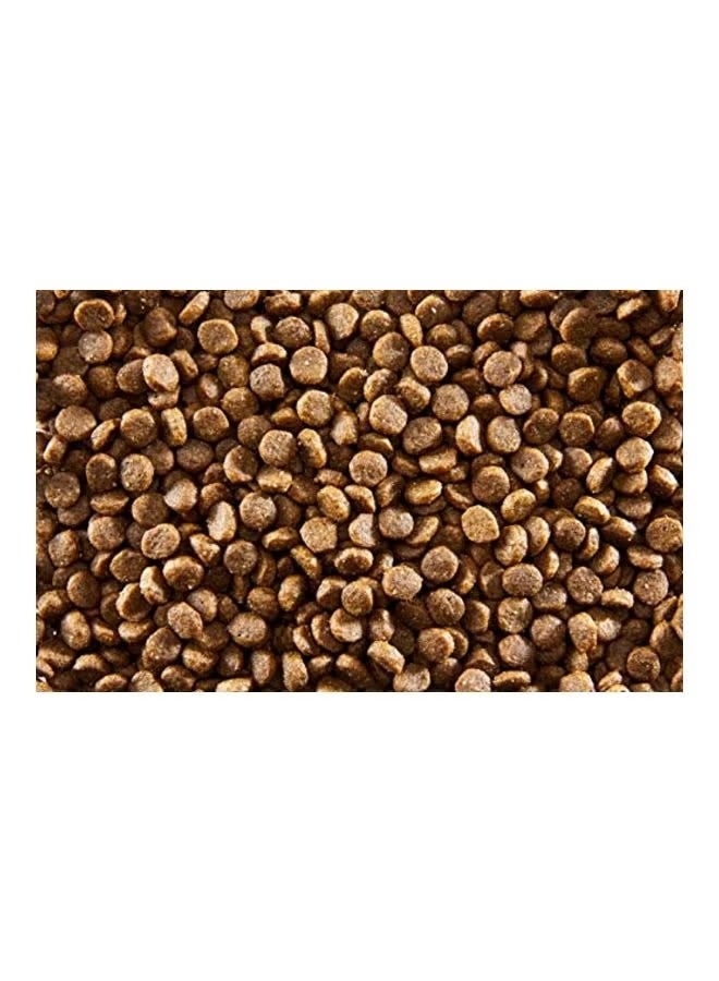 Applaws - Cat Kitten Dry Food With Chicken Flavor 7.5KG - Image 1