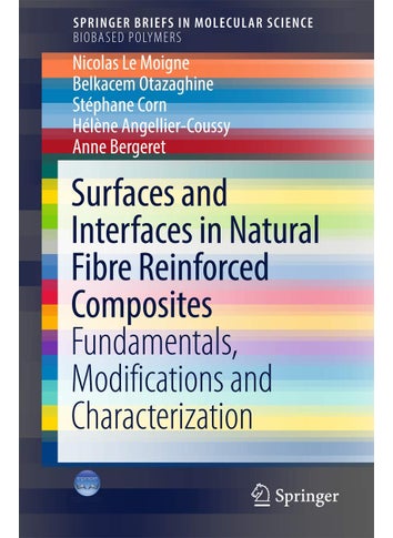 Surfaces and Interfaces in Natural Fibre Reinforced Composites: Fundamentals, Modifications and Characterization - pzsku/Z3E607F088D5C6446FA01Z/45/1749025398/7d7421dc-682c-4ed1-8303-6ccce61a0479