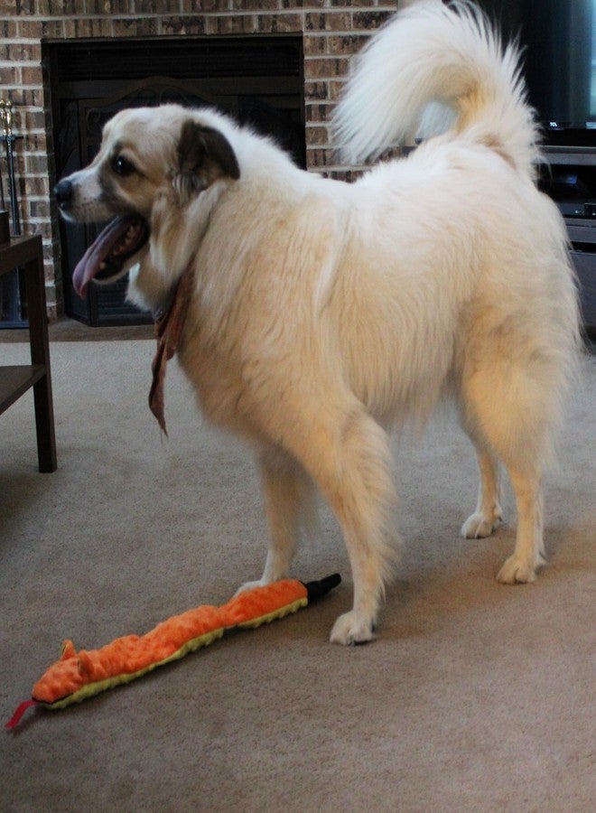 SPOT Skinneeez Extreme Triple Squeak Snake - Durable, Stuffing-Free Dog Toy with Rip-Stop Mesh & 3 Jumbo Squeakers, Built for Aggressive Chewers - Perfect for Medium to Large Dogs & Puppies, 25 inch - Image 3