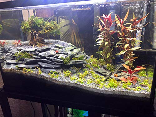 Voulosimi Natural Slate Rocks PH Neutral Stone Perfect Rocks for Aquariums, Landscaping Model,Tank Decoration,Amphibian Enclosures (7.5 LB, 5-7 inch) - Image 5