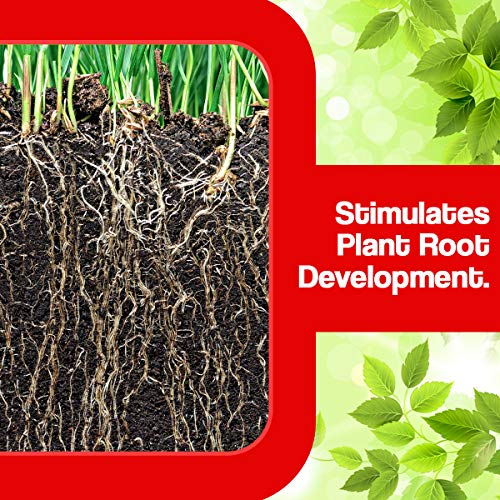 OrganicDews Organic Humic Acid 98 Fertilizer (Water Soluble) Shiny Flakes for Plants 1 Kg - Plant Growth Enhancer, Soil Conditioner, Improves Plant Root System - Image 4