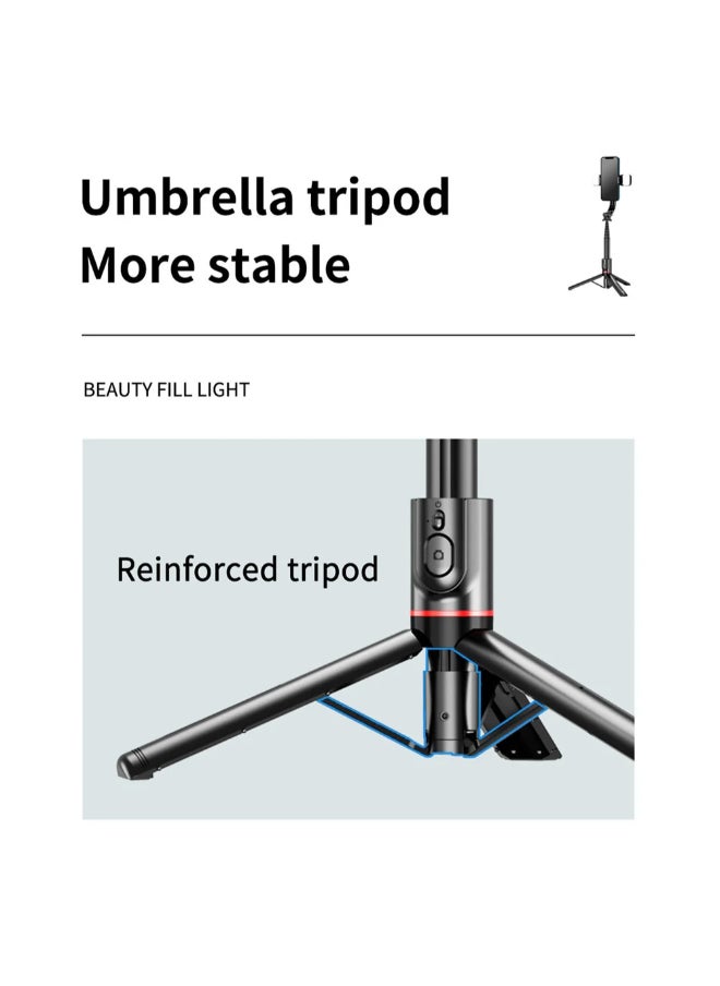 42.7 Inches L12d Foldable Wireless Bluetooth Aluminum Selfie Stick Tripod with Remote Shutter Fill Light for for iPhone Android Phone, Portable Phone Camera Stand - pzsku/Z3E635C5460F7B5887AF6Z/45/_/1728651250/cba4e48a-bdbc-452a-9c0b-4f7b008ccafa