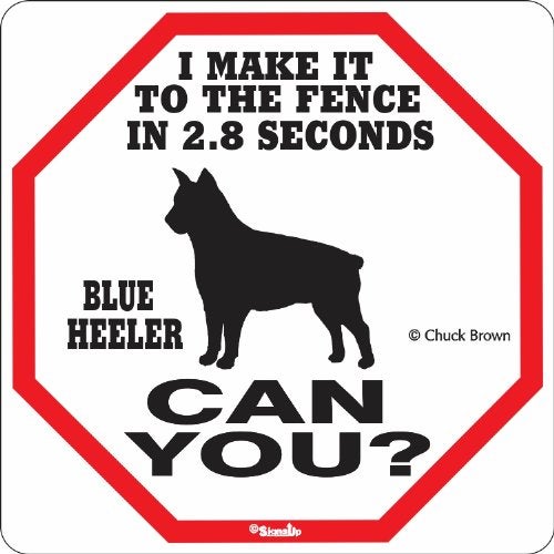 SIGNS UP Blue Heeler 2.8 Seconds Sign - Image 2
