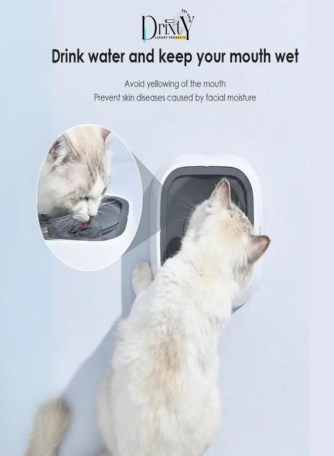 DRIXTY Convenient and Durable: Dog Bone Shaped Stainless Steel Food and Water Bowl with Foldable Silicon Mat for Small Dogs, Puppies, and Cats - Anti Spill, Anti Skid Design (Dog Bowl) - Image 2