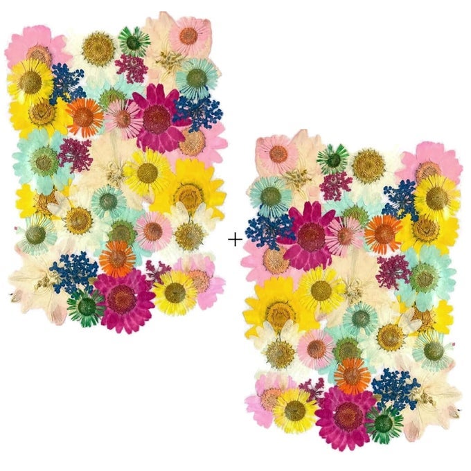 40 PCS DRIED PRESSED REAL FLOWERS COLORFUL NATURAL DRIED FLOWERS DAISIES FOR CANDLES HANDMADE CRAFTS EPOXY DIY RESIN PENDANT JEWELLERY ACCESSORIES NAIL ART MULTI COLOR 2 PACKS