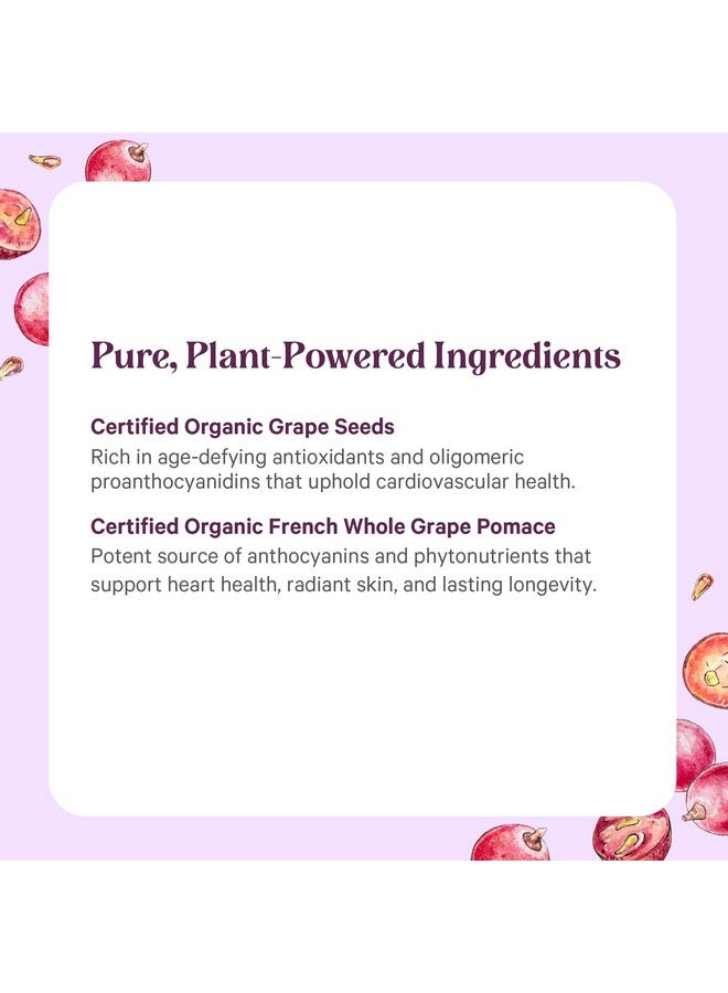 Pure Synergy SuperPure Grape Seed Extract | Organic Grape Seed Polyphenols Supplement with Whole Fruit | for Heart Health, Skin, and Healthy Aging Support (60 Capsules) - Image 5