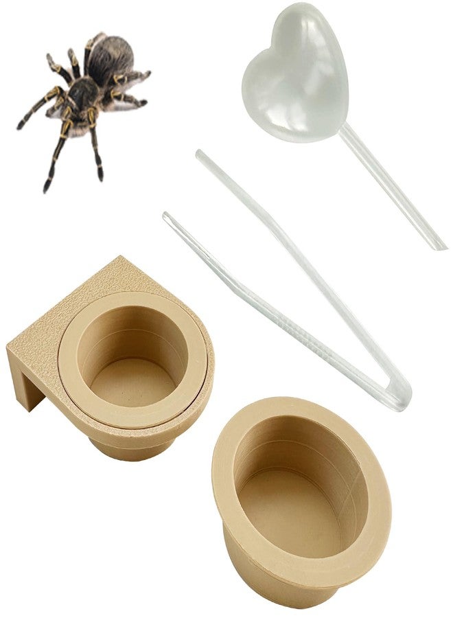 Okueejur 2 PCS Jumping Spider Feeding Dish (1 Detachable with Magnet and 1 for Replacement), Tiny Food Dishes Water Dish for Spider, Tarantula and Other Small Pets Jumping Spider Accessories - Image 1