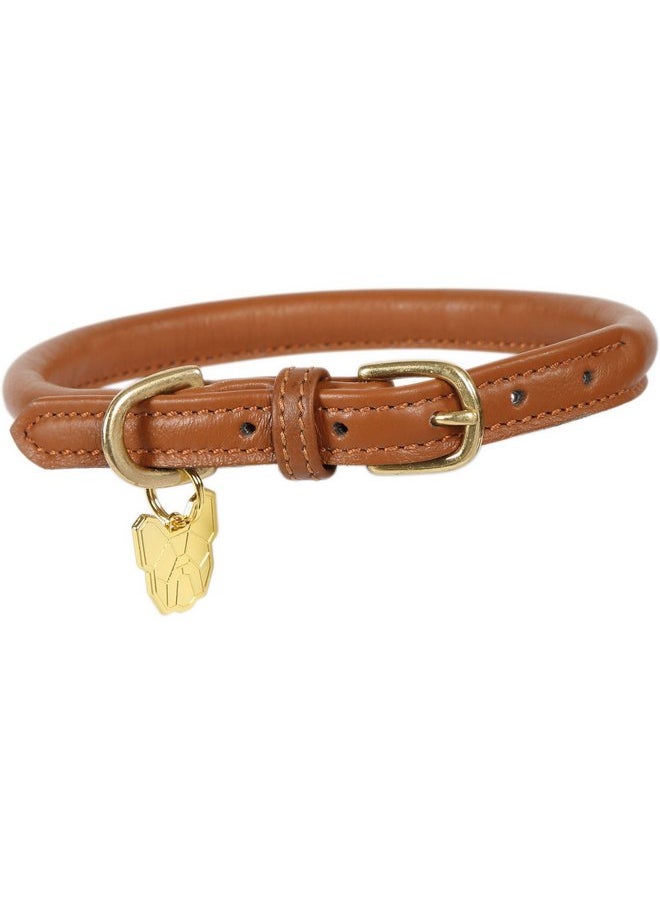 Digby & Fox Rolled Leather Dog Collar (X-Large, Tan) - pzsku/Z3E67DE246A27C664A2AEZ/45/_/1737032171/3d28f15e-3e5d-40d7-90c3-e3e68c7abd50