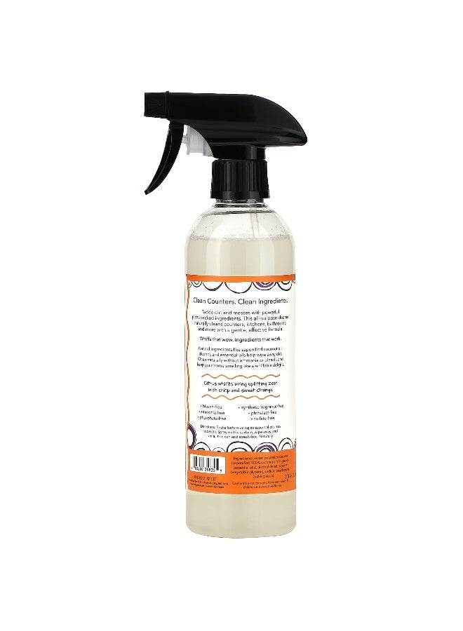 ZUM ZUM, All-Purpose  Cleaner, Sweet Orange, 16 fl oz (473 ml) - Image 2