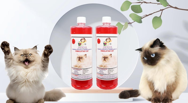 Swacch Shampoo Specially Formulated for Himalayan Cat (1 Litre) (Pack of 2) Strawberry - Image 1
