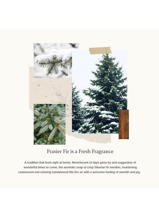 Thymes Thymes Frasier Fir Candle - Gilded Collection - Frosted Wood Grain Design with Gold Lid & Base - Pine Scented Candles for Women & Men - Luxury Home Fragrance - Elegant Christmas Decor (Large, 13.5 oz)  - Image 3