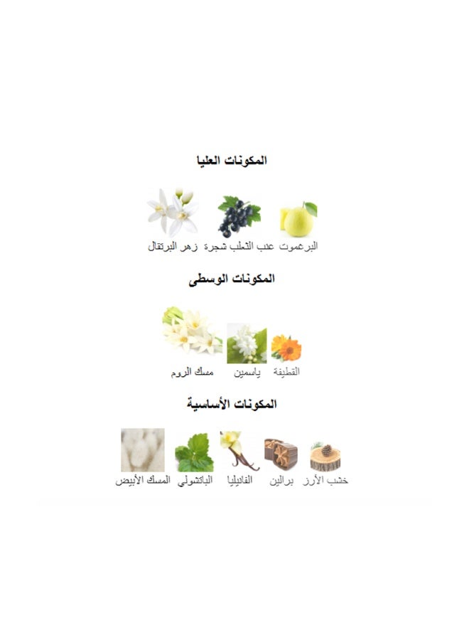 ميزون الهمبرا عطر إكلا دي لون للنساء 100 مل - Image 5