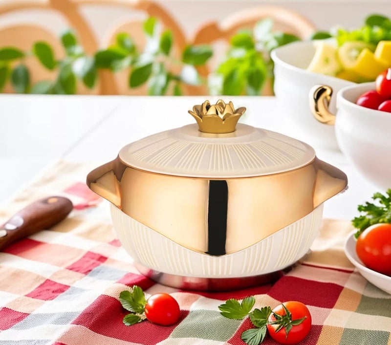 Nabhya Falcon 3000ml Casserole Double Walled Hot Cold Insulated Casserole With Inner Steel Outer Plastic Serve Casserole Beige - Image 1