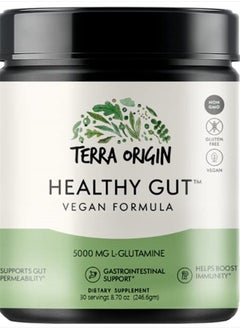 Terra Origin Healthy Gut (Vegan, 1-Pack)  - Image 1