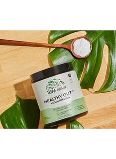 Terra Origin Healthy Gut (Vegan, 1-Pack)  - Image 3