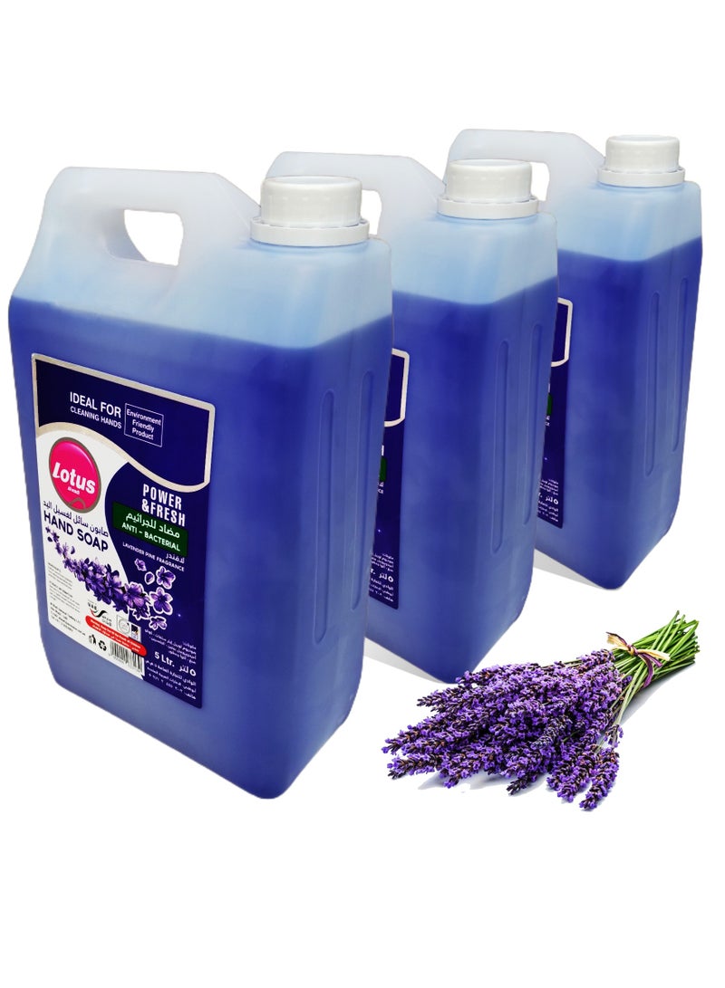 Lotus Alwadi Lotus Alwadi hand wash lavender & pine fragrance, 3x5L - 3 Gallons/Carton  - Image 1