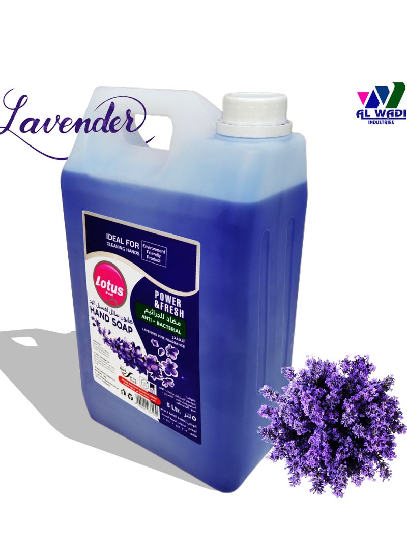 Lotus Alwadi Lotus Alwadi hand wash lavender & pine fragrance, 3x5L - 3 Gallons/Carton  - Image 3