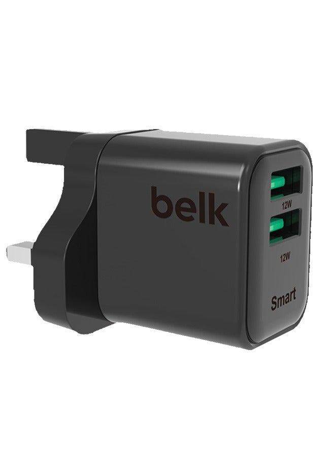 belk Belk Home Charger 12 Watts 12W Z3E6D4C128E03DEFE0A96Z