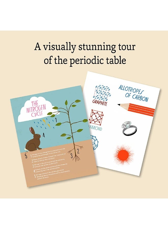 The Illustrated Encyclopedia of the Elements - Image 3