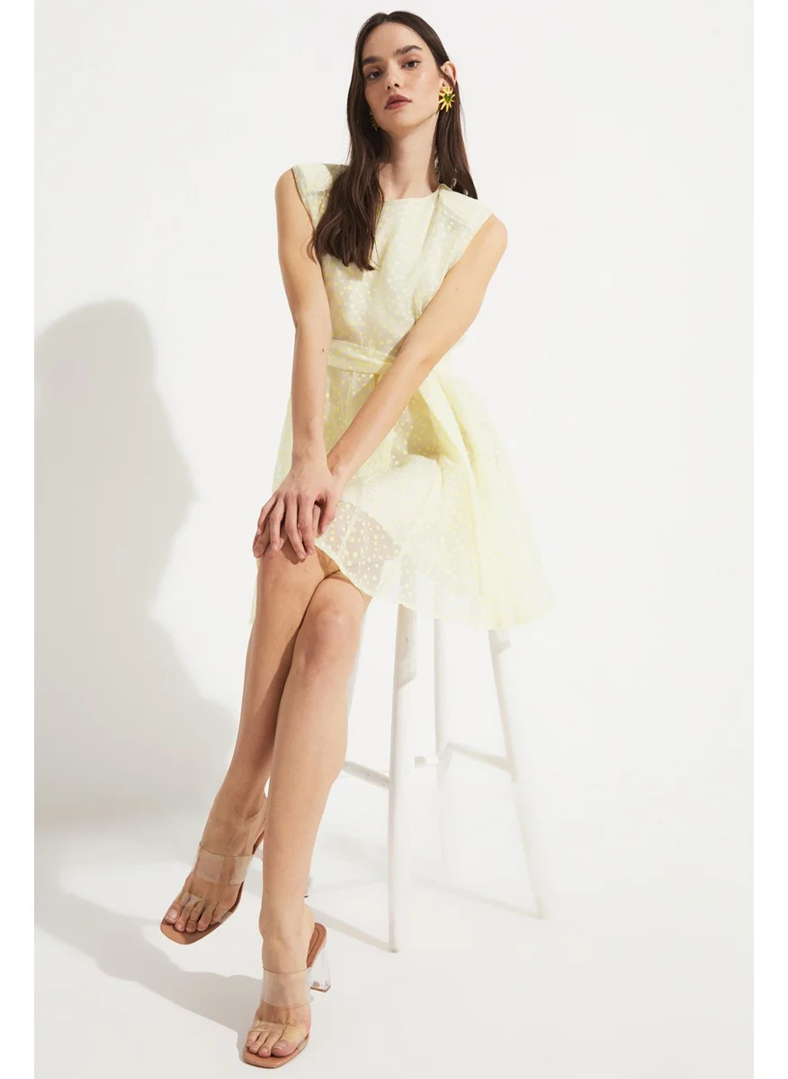 جون Women Skater Sleeveless Polka Dot Pattern Mini Dress