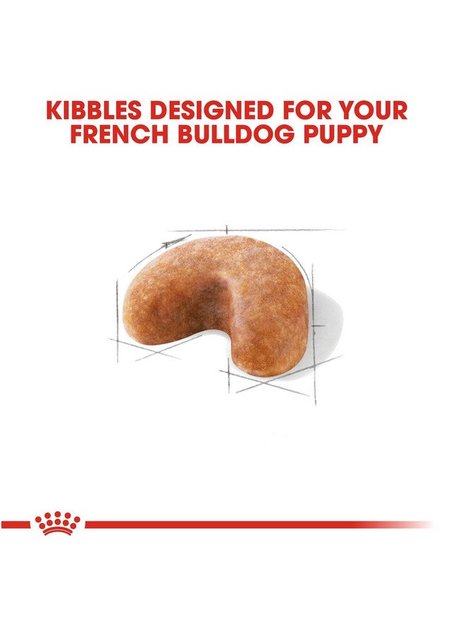 Royal Canin French Bulldog Puppy Dry Dog Food, 3 lb bag - Image 2