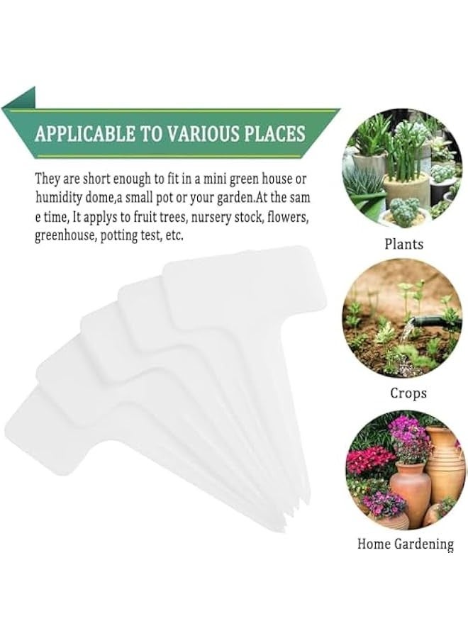 TRASSLE 100Pcs Plastic Plant Labels,Garden Labels,Waterproof Plant Tags,Seed Nags, Plant Markers for Outdoor Garden,White Garden Tags, Plant Name Tags, Vegetable Gardening Tags with Bonus a Pen - Image 3