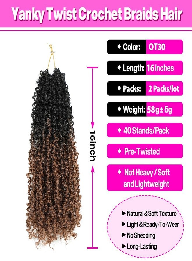 Youngther 16inch Yanky twist crochet hair Fluffy Spring Twist with curly crochet hair for black women Synthetic hair extension（16inch OT30 2PCS） - Image 3