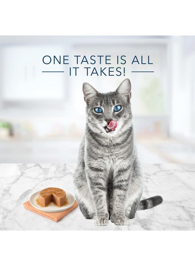 Blue Buffalo Tastefuls Natural Pate Wet Cat Food, Chicken Entrée 5.5Oz Cans (Pack Of 24) - Image 3