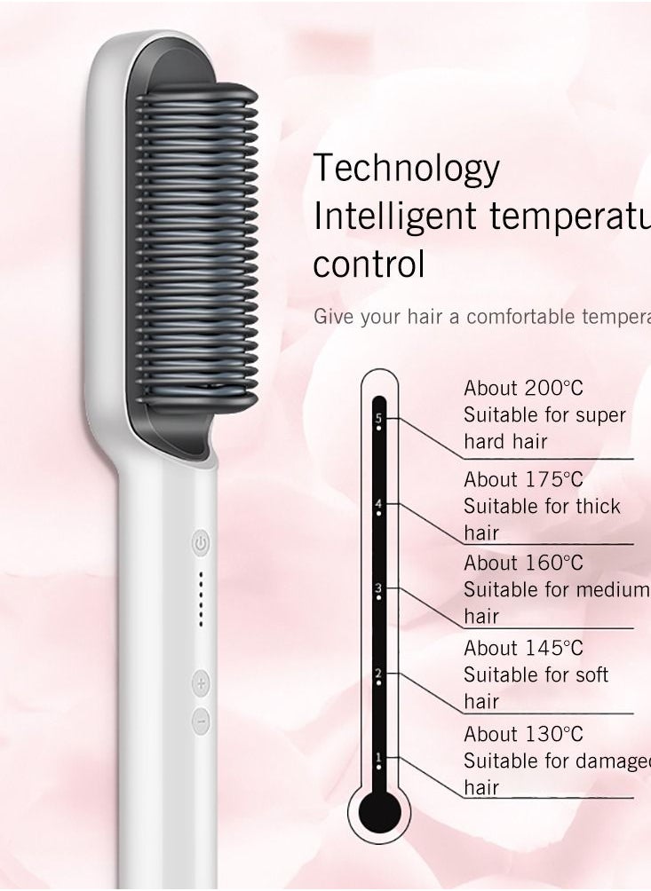 DUMBO - Hair Straightener Brush Built-in Comb,20s Fast Heating & 5 Temp Settings & Anti-Scald,Perfect for Professional Salon at Home (Silver) 3*27cm - Image 1