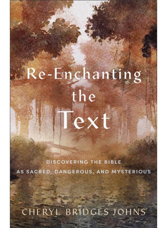 Re enchanting the Text Discovering the Bible as Sacred Dangerous and Mysterious - Paperback