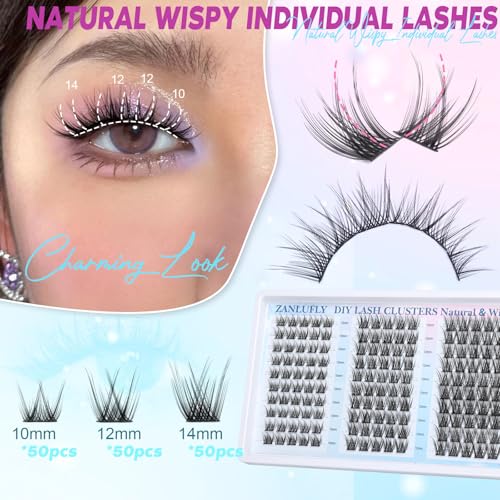 zanlufly Lash Clusters Wispy Eyelash Clusters Natural C-Curly Cluster Lashes zanlufly Wispy Individual Lashes 150Pcs Eyelash Extension 10 12 14MM DIY Lash Extensional Lash Clusters - Image 2