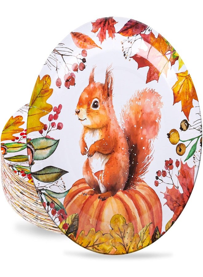 Whaline 40Pcs Thanksgiving Fall Paper Plates 9 Inch Disposable Plates Orange Pumpkin Squirrel Autumn Harvest Plates for Thanksgiving Fall Party Holiday Dinner Tableware Supplies Decoration - Image 1