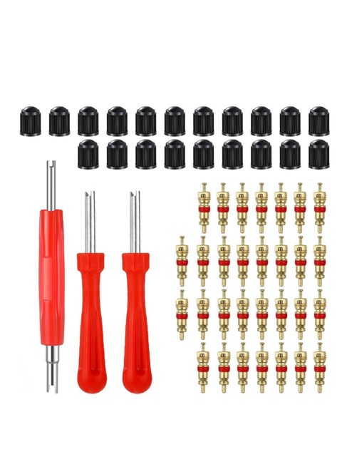 Tire Valve Core Remover Tools with 40 Pcs Schrader Valve Cores, 20Pcs O-ring Seal Valve Stem Caps, 3 Pieces Dual Single Head Tire Valve Core Remover Installer Repair Tools