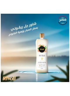 RIVOLI Shower GeL Aloe Vera & Camomile 3 LITER - pzsku/Z3E79EE9B3EFDBCBE8FCAZ/45/_/1739941346/a48d8296-ba2c-4aee-8057-c4da85d52cdd