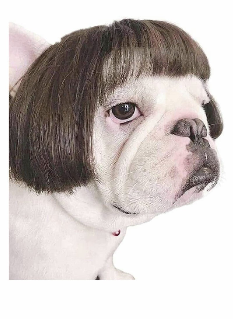 SYOSI Dog Wig Pet Costumes, Cat Costume Synthetic Accessories Small Dog Headwear for Halloween, Festival Party Decor, Head Wear Apparel Toy - Image 2
