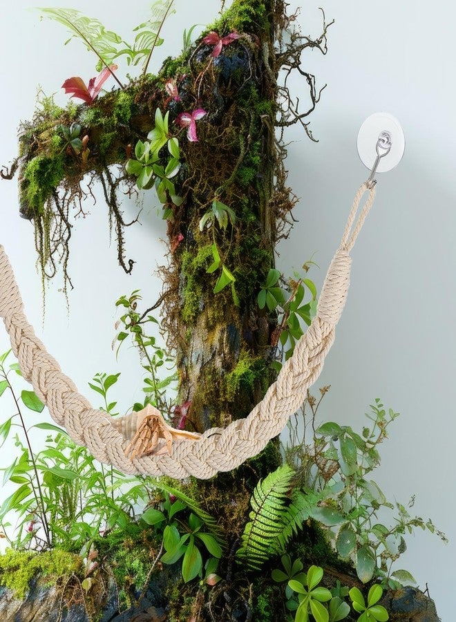 ولهيف مجموعة ألعاب تسلق سرطان البحر الناسك من WLLHYF، قطعتان، سلم حبل للزواحف بطول 24 بوصة مع أكواب شفط، ملحقات حوض الزواحف، ديكور موطن للسحالي، الوزغات، الثعابين، ضفادع الأشجار - Image 4