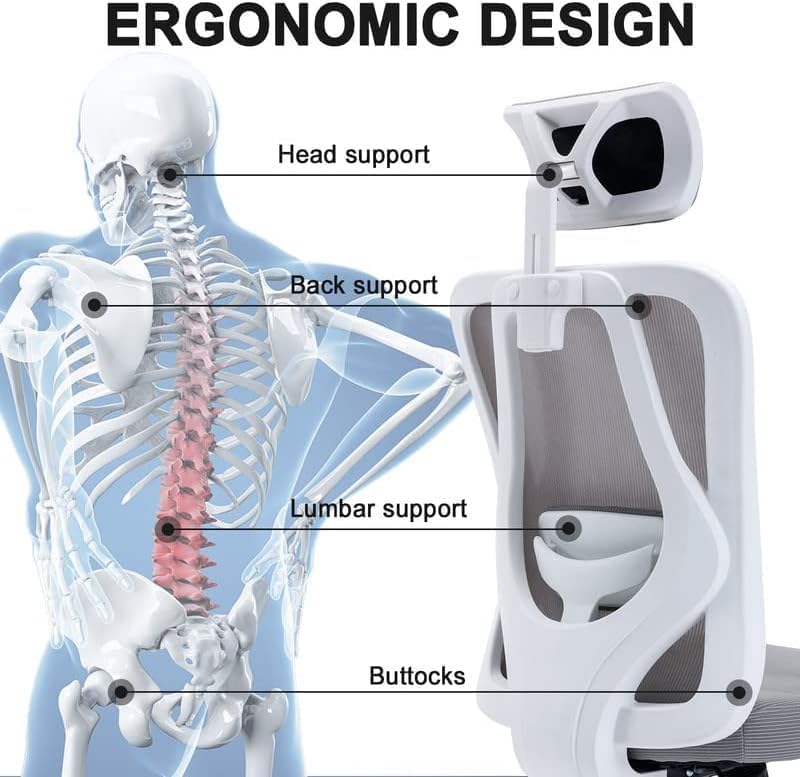 Multiwood Advanced Comfort Professional Chair with Balanced Lumbar Support, Durable Build and Extended Sitting Ease – Grey - Image 5