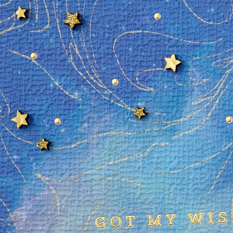 Hallmark Signature Love Card (Got My Wish) for Anniversary, Romantic Birthday, Sweetest Day - Image 4