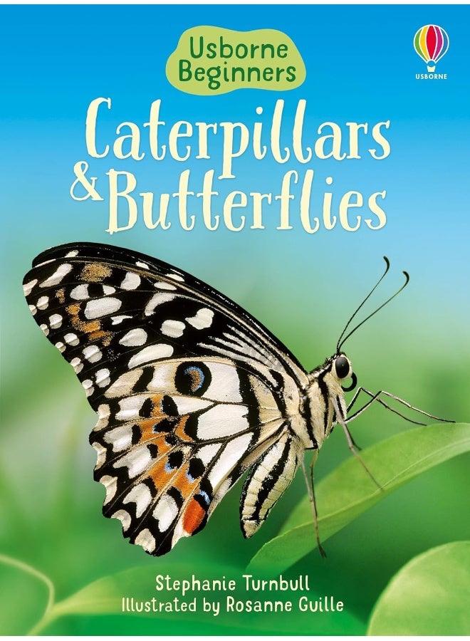 Caterpillars and Butterflies  - Image 1