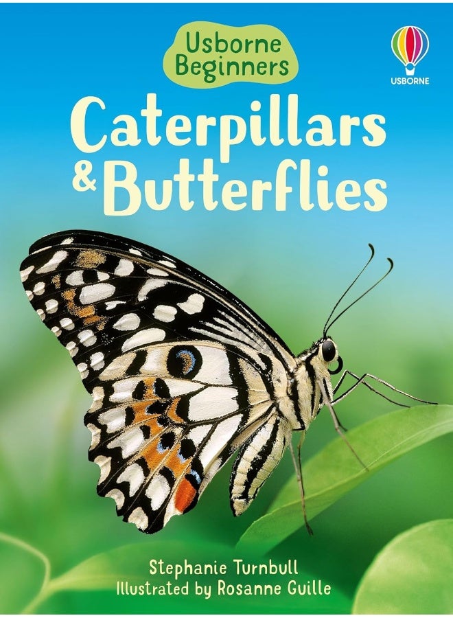 Caterpillars and Butterflies  - Image 2