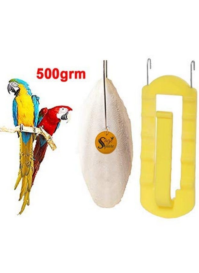 Sage Square Natural Calcium Source Cuttlebone Fish For Birds, Parrot (500Grm & Holder)  - Image 2