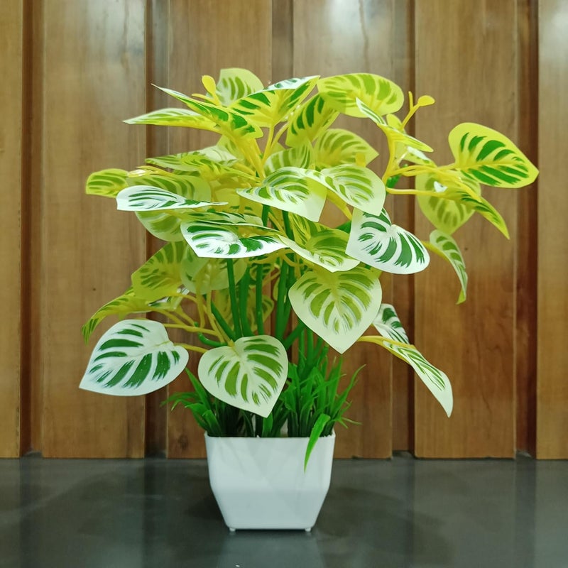 DECOGREEN DECOGREEN POTHOS Y SQ Pot Grass Home Office Real Touch Money P Living Room Premium Design Bonsai Artificial Plant with Pot POTHOS Y SQ Pot with Grass 